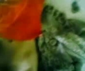 দুর্দশা, উত্যক্ত করা, এইচডি বাংলা সেক্স ভিডিও নিষ্পেষণ